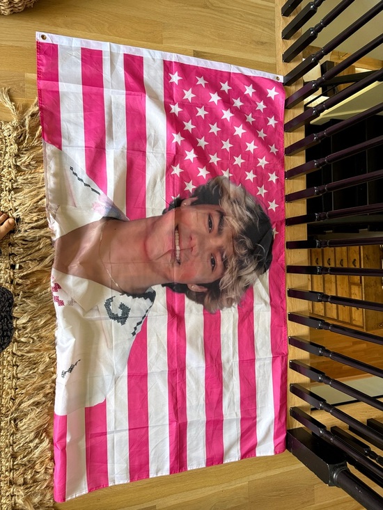 Disney Other - Disney Pink and White Stars & Stripes Poster Flag